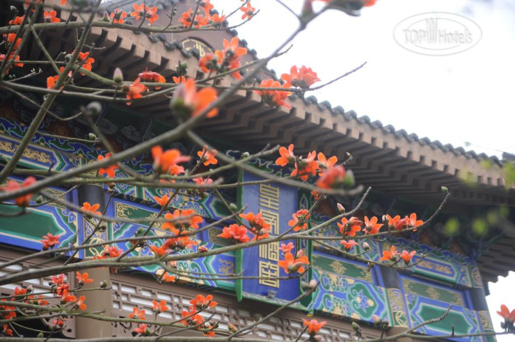 New photos from tourists Eadry Royal Garden Hotel Haikou 5*
