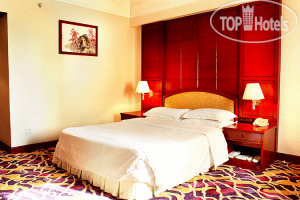 New photos from tourists Gardford International 4*