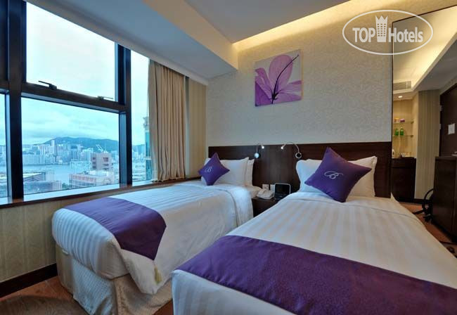 Фото Guangzhou Bauhinia