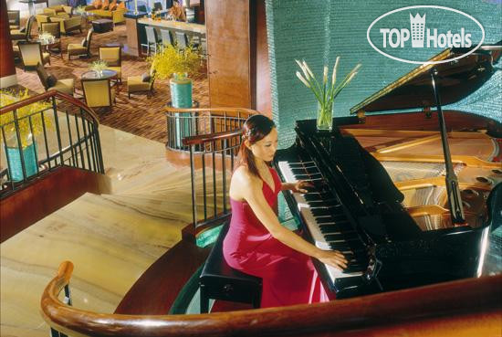 New photos from tourists Sheraton Dongguan 5*