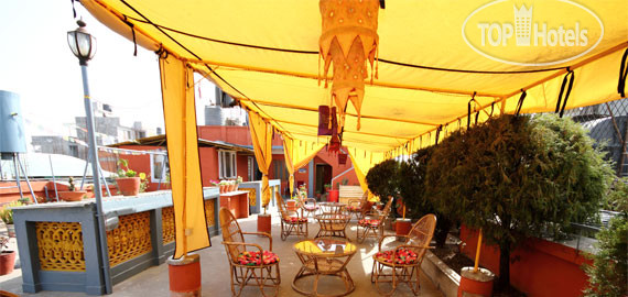 New photos from tourists Chillout Resort