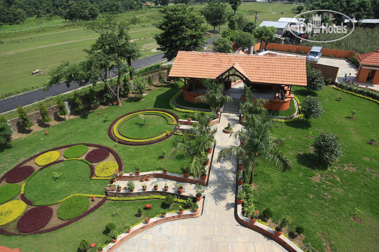 New photos from tourists Landmark Forest Park 5*
