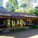 Фото Machan Wildlife Resort (закрыт)