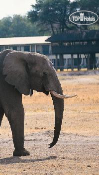 Фото Hwange Safari Lodge