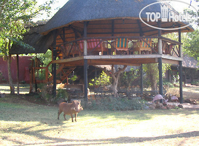 New photos from tourists The Elephant Camp Victoria Falls 4*