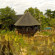 Фото Gorges Lodge