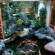 Photos Nishikiro Ryokan