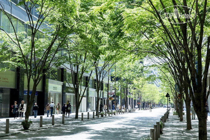 Hotel photo The Tokyo Station Hotel 4*
