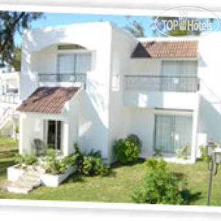 Фото Oasis Beach Club