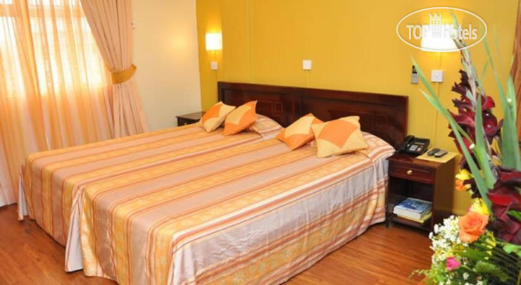 New photos from tourists Gold Nest Hotel 3*