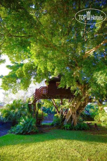 New photos from tourists Tree Lodge Mauritius