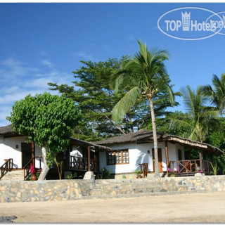 Фото Corail Noir