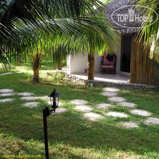 Photos Les Cocotiers