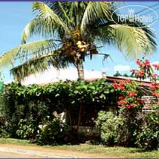 Photos Le Jardin Exotique