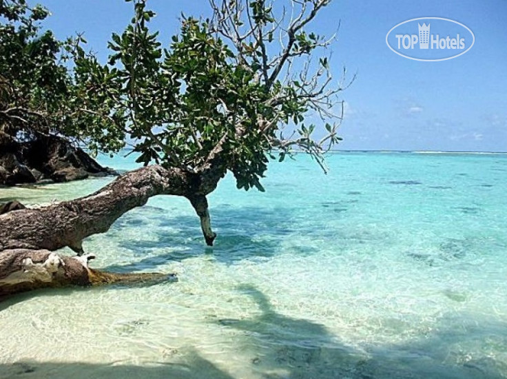 Hotel photo Sambatra Beach Lodge 3*