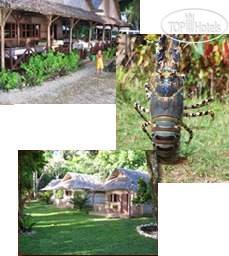 New photos from tourists Atafana 3*