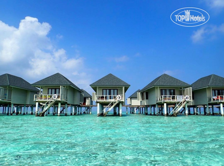 Фото Summer Island Maldives