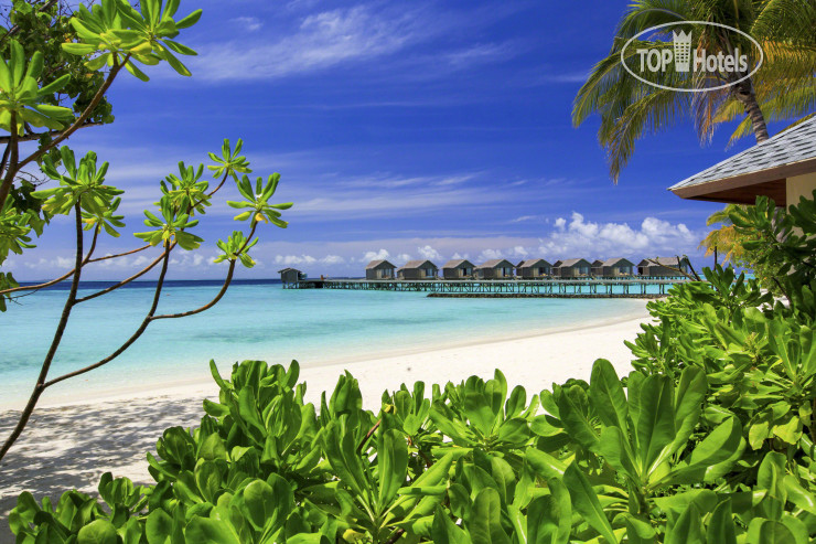 Фото Centara Ras Fushi Resort & Spa