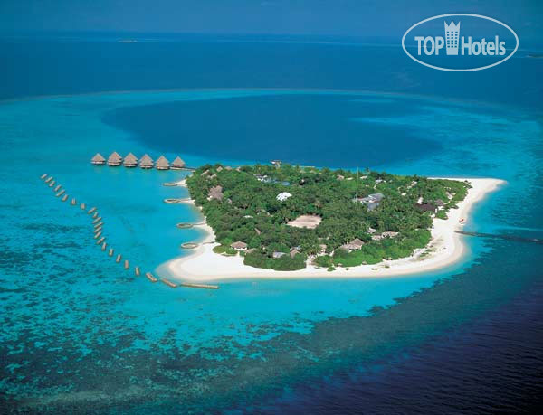 New photos from tourists Velidhu Island Resort 4*