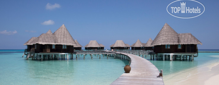 New photos from tourists Coco Palm Dhuni Kolhu 5*