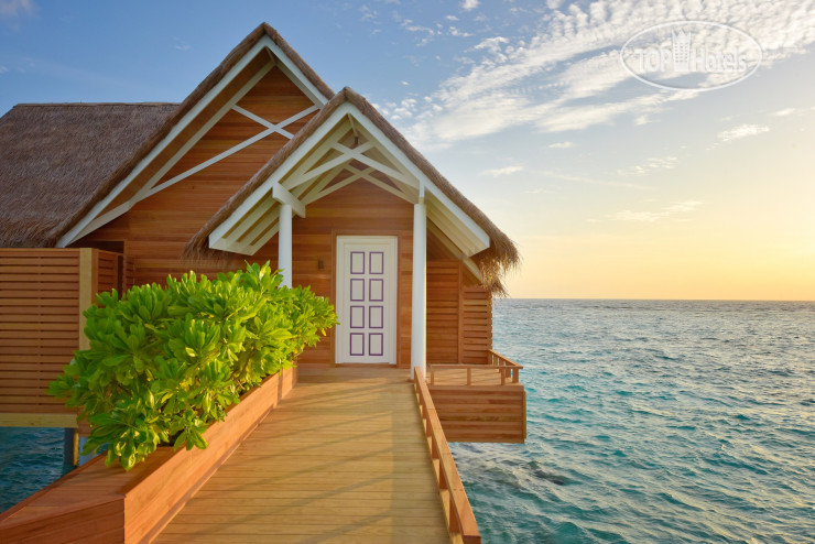 Фото Milaidhoo Island Maldives