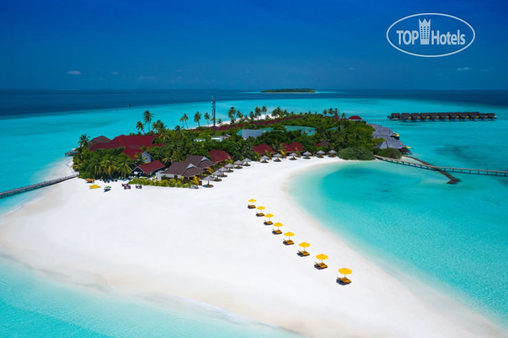 New photos from tourists Dhigufaru Island Resort 5*