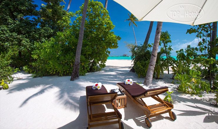 New photos from tourists Atmosphere Kanifushi 5*