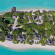 Palm Beach Resort & Spa 4*