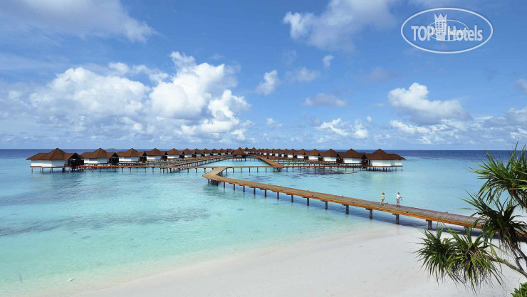 Новые добавленные фото туристов Robinson Club Maldives 5*