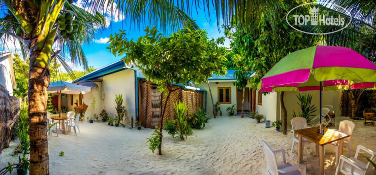 Фото Amazing View Guest House