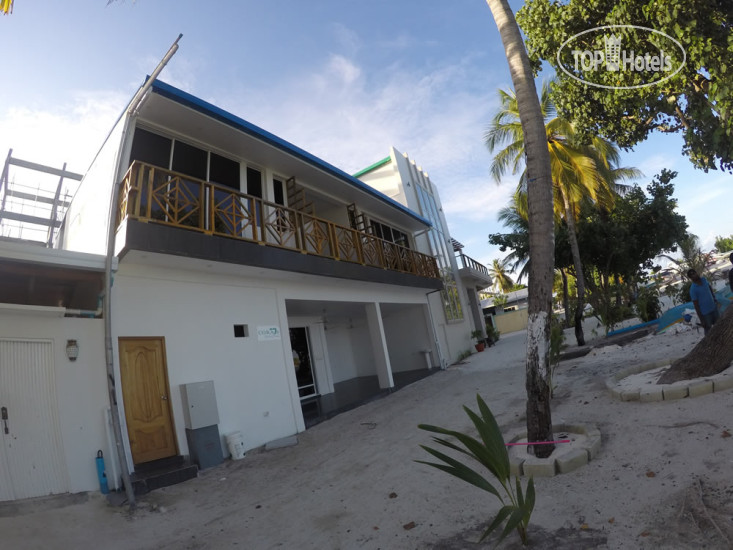 Hotel photo Seven Corals 3*