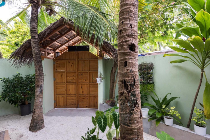 Hotel photo Isla Dhiffushi Guest House 