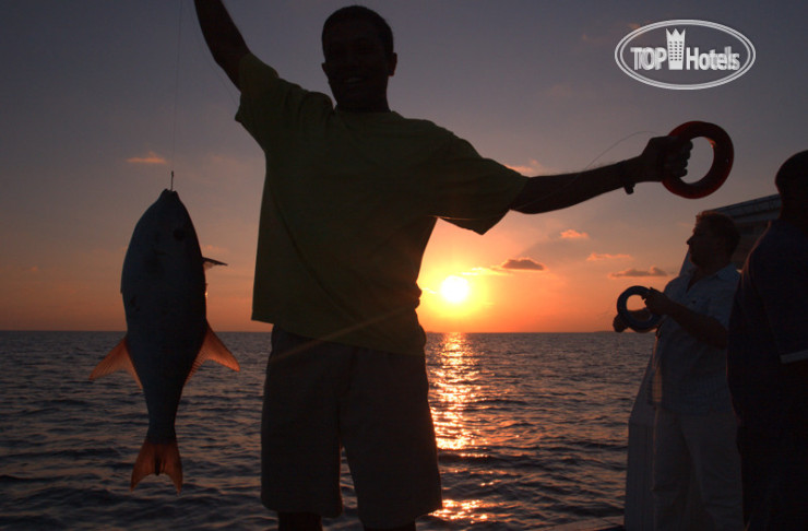 New photos from tourists Vaali Beach Lodge Maldives 3*