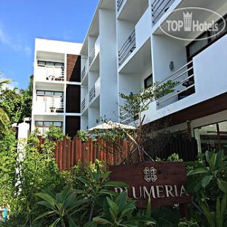 Photos Plumeria Maldives