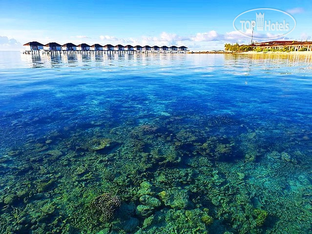 New photos from tourists Cocogiri Island Resort 4*