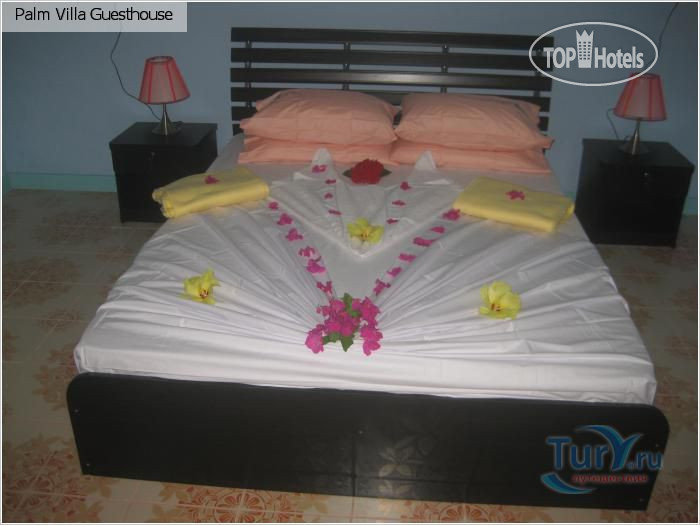 Hotelier's photos Palm Villa Guesthouse 3*