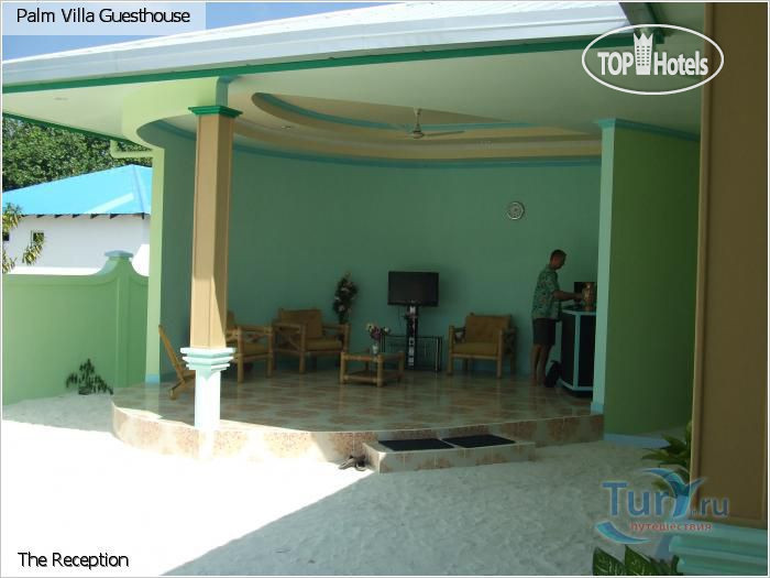New photos from tourists Palm Villa Guesthouse 3*