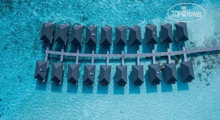 Hotelier's photos Summer Island Maldives 4*