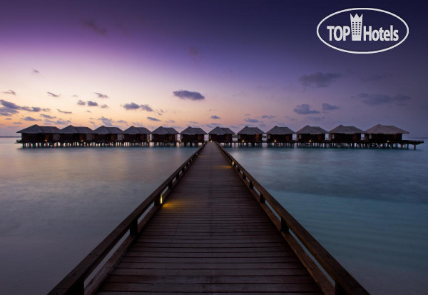 New photos from tourists Sheraton Maldives Full Moon Resort & Spa 5*