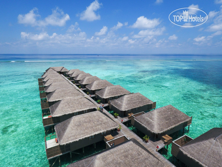 New photos from tourists Meeru Island Resort & Spa 4*