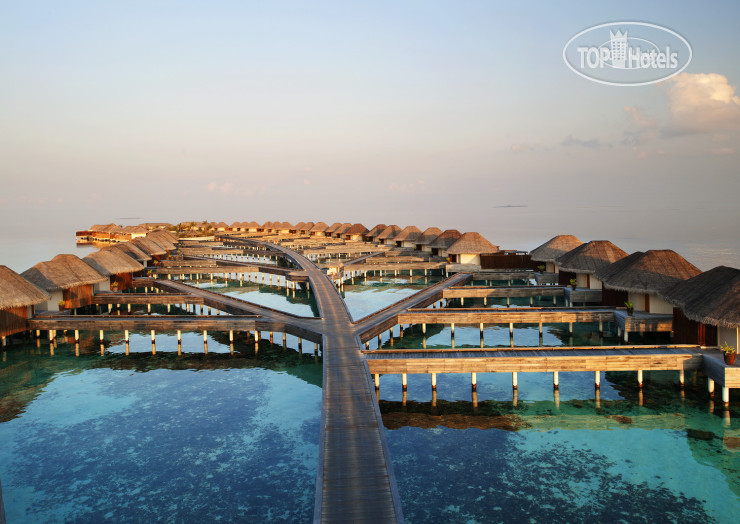 New photos from tourists W Maldives 5*