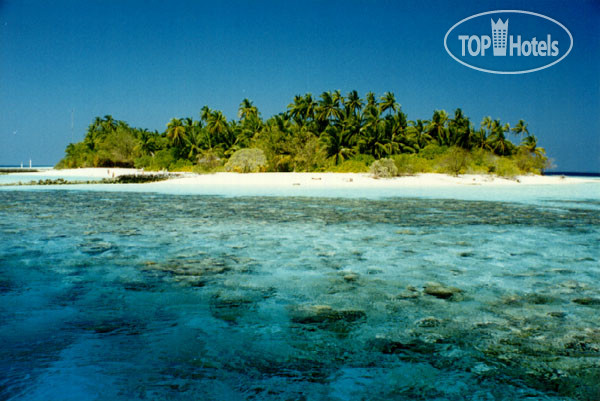 New photos from tourists Asdu Sun 3*