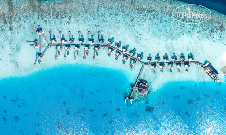 New photos from tourists Angsana Velavaru 5*
