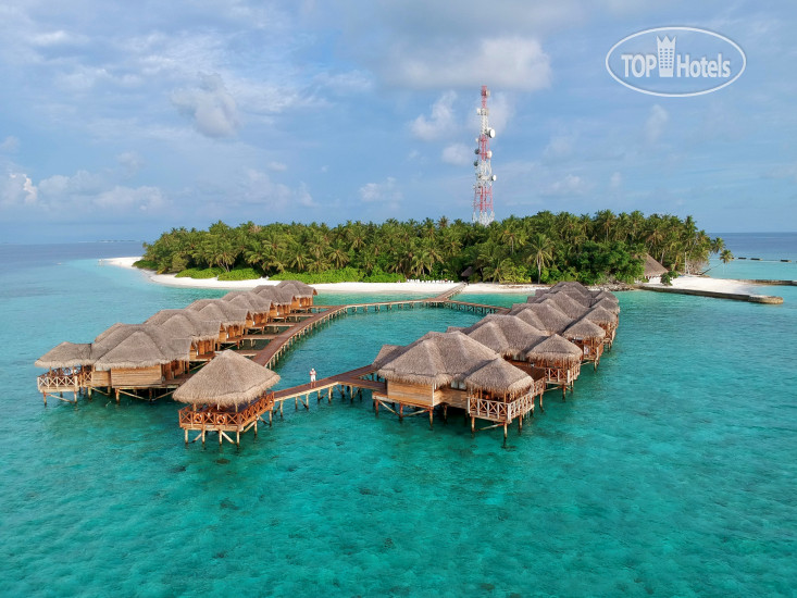 Hotelier's photos Fihalhohi Maldives 3*