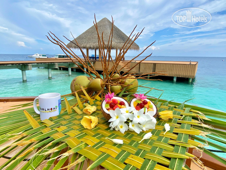 New photos from tourists Fihalhohi Maldives 3*