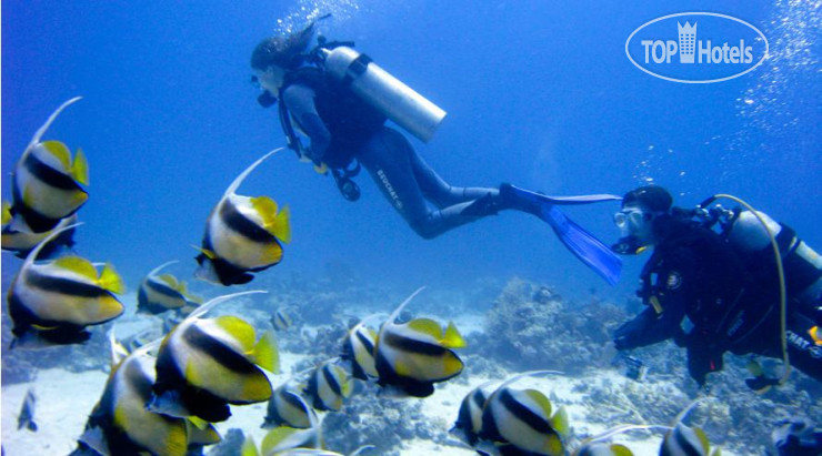 New photos from tourists Club Med Kani 4*