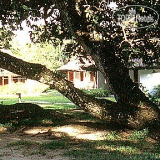 Photos Cote d`Or Club