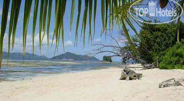 New photos from tourists Calou Guest House 2*