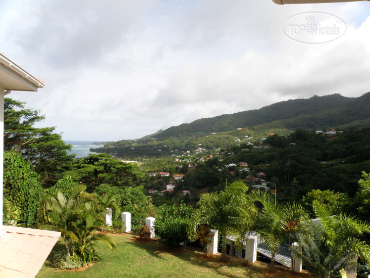 New photos from tourists Villa Citronella 3*