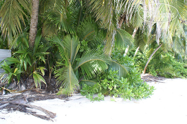 New photos from tourists Dhevatara Beach 5*